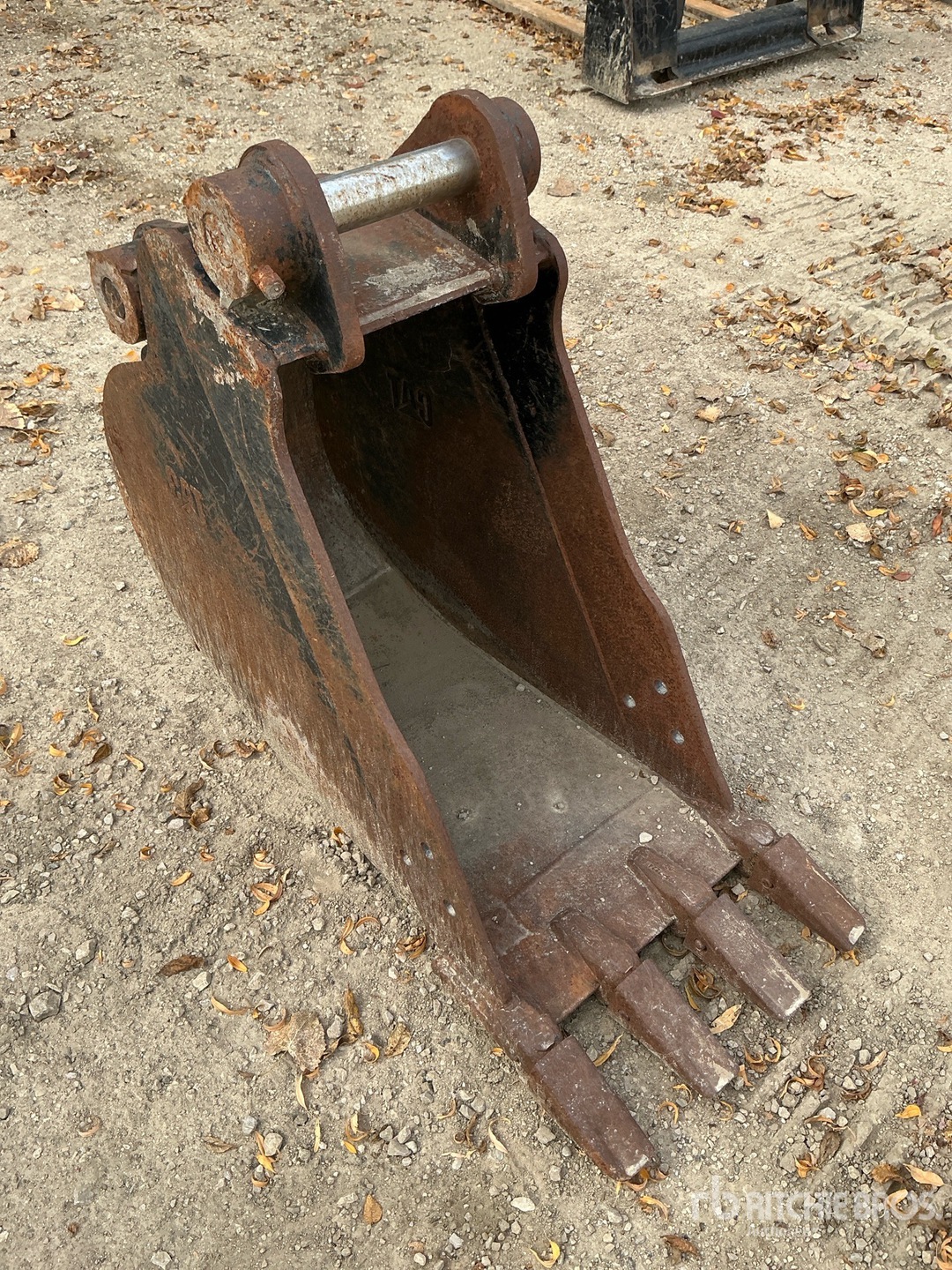 Caterpillar 16 IN - FITS CAT 304