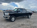 General Appearance with Featured Photo