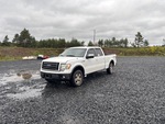 General Appearance with Featured Photo