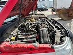 Motore with