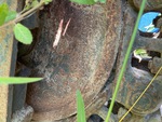 Undercarriage with Right Idler