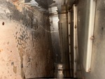 Pressure Washer with