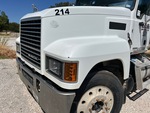 General Appearance with Paint