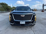 General Appearance with Exterior Lights