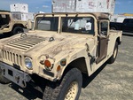 General Appearance with Paint