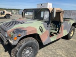 General Appearance with Paint