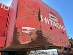 General Appearance with Pintura
