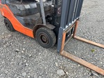General Appearance with Pintura
