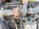 Engine with Exhaust System