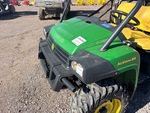 General Appearance with Paint