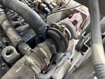 Engine with Exhaust System
