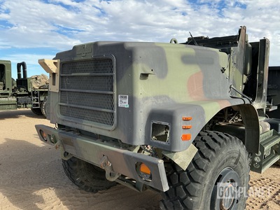 General Appearance with Paint