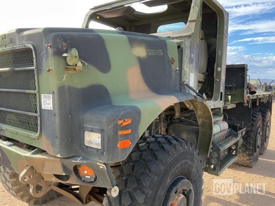 General Appearance with Paint