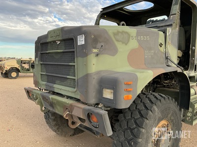 General Appearance with Paint