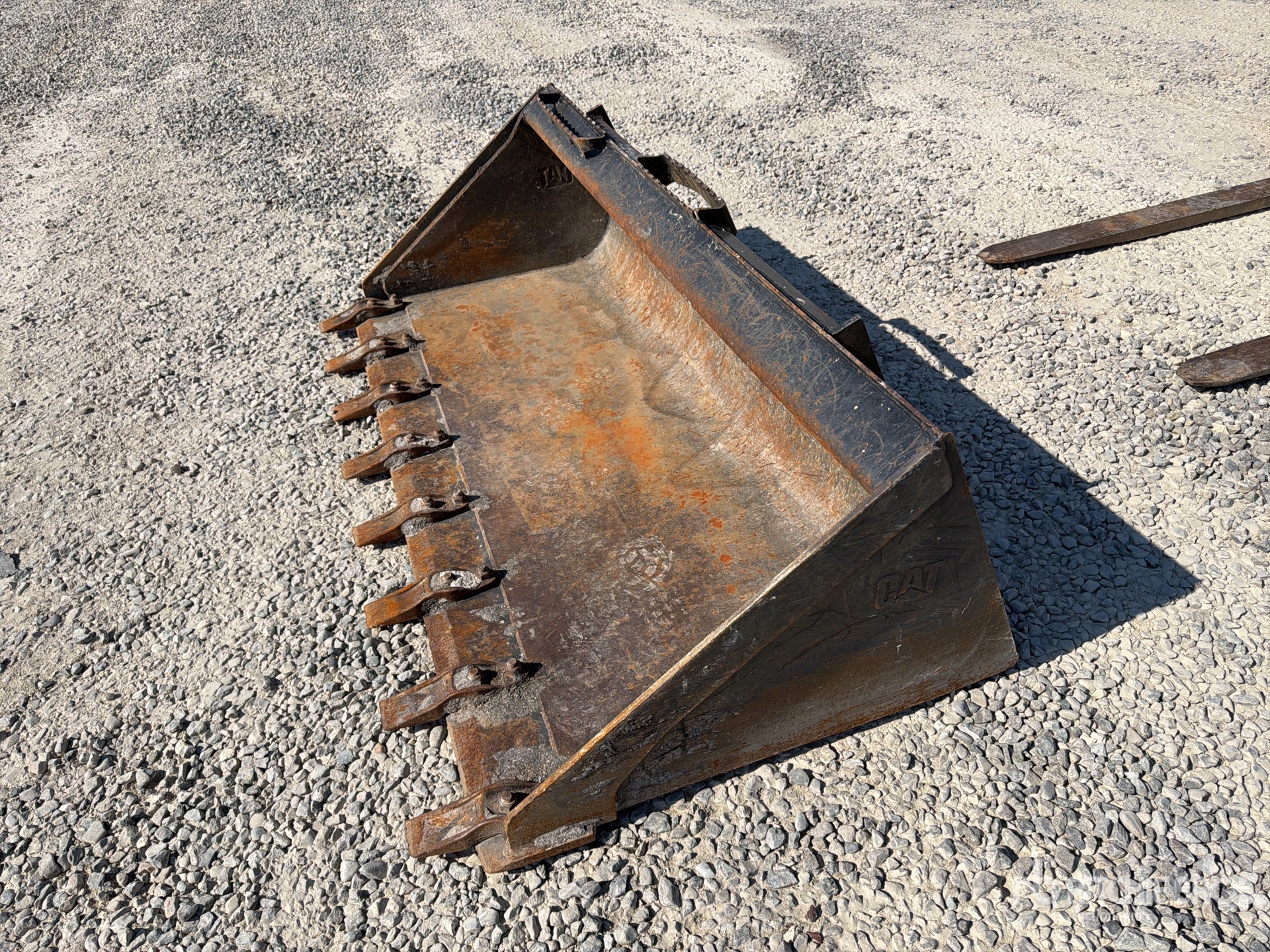 2019 Caterpillar 259D3