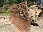 General Appearance with Paint