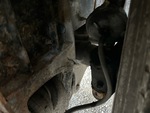Underbody with