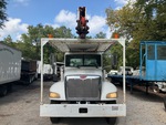 General Appearance with Paint