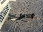 Trailer Chassis with