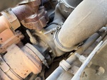 Engine with Exhaust System