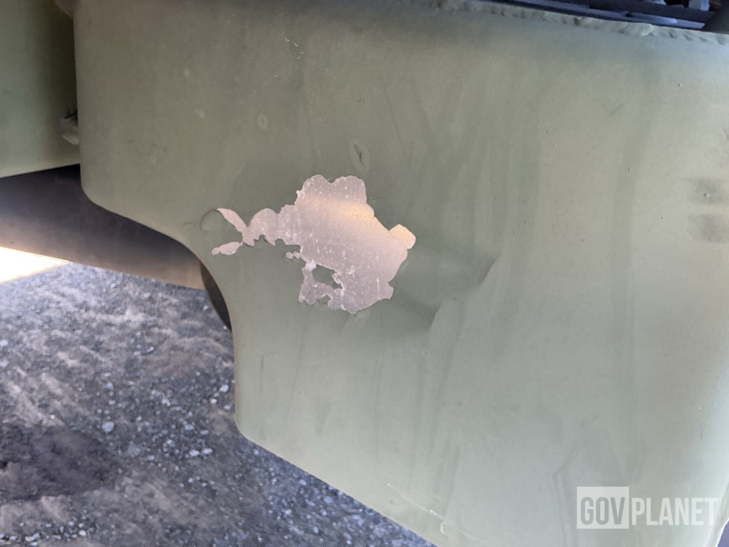 General Appearance with Paint