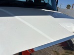 General Appearance with Paint