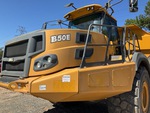 General Appearance with Paint