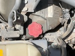 Engine with Oil Leaks