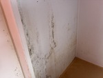 Interior with
