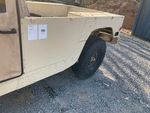 General Appearance with Paint
