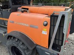 General Appearance with Paint