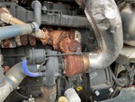 Engine with Exhaust System