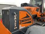 General Appearance with Paint