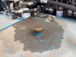Silnik with Fuel Leaks