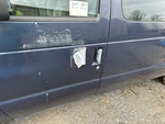 General Appearance with Paint