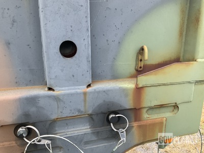 General Appearance with Paint