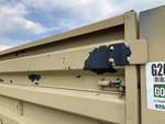 General Appearance with Paint