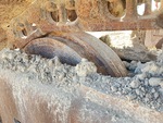 Undercarriage with Left Idler
