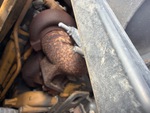 Engine with Exhaust System