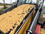 General Appearance with Paint