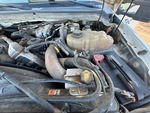 Motore with