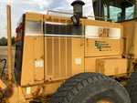 General Appearance with Paint