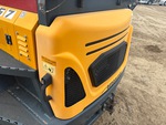 General Appearance with Paint