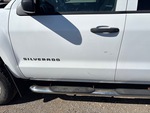General Appearance with Paint