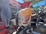 Engine with Radiator