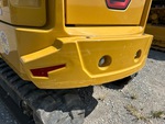 General Appearance with Paint