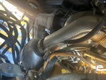 Engine with Exhaust System