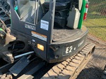 General Appearance with Paint