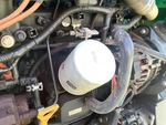 Engine with Oil Leaks