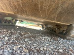 Chassis with Belly Pans